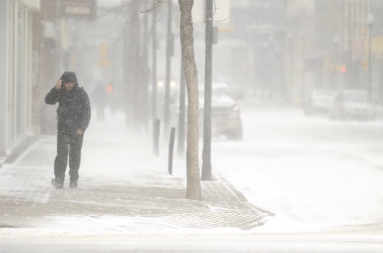 High winds and falling snow made for low visibility in Regina and southern Saskatchewan on Monday, March 6, 2017. 