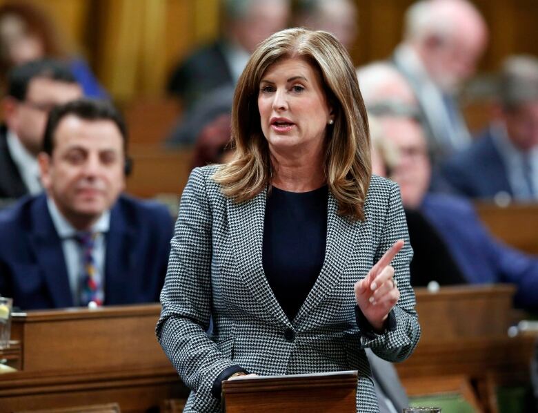 A woman with brown hair and a checkered black and white blazer stands in Parliament.