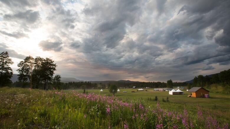 A dwelling appears in the background of a meadow with wildflowers and under a norther B.C. sky.