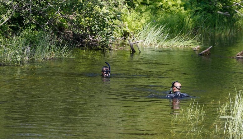 Dive teams search a creek.