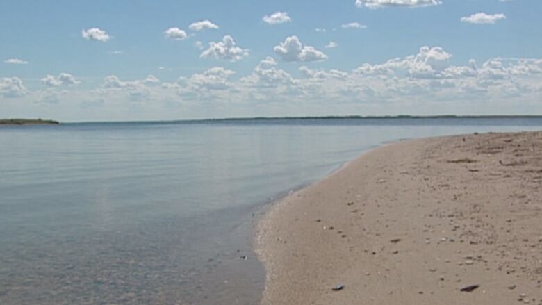 A lake shore and sand.