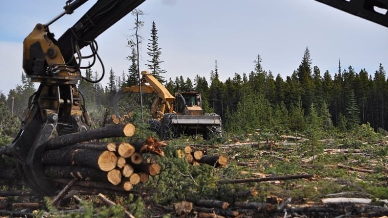 The crane of a machine known as a forest harvester picks up logs in the foreground. In the background, a similar device is operating in a clearcut clearing.