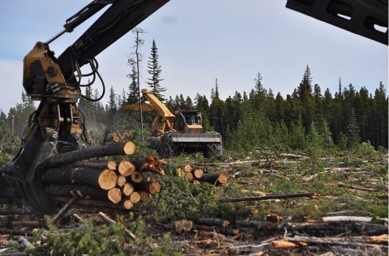 The crane of a machine known as a forest harvester picks up logs in the foreground. In the background, a similar device is operating in a clearcut clearing.