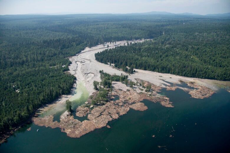 Contents from an Imperial Metals tailings pond are pictured going down the Hazeltine Creek into Quesnel Lake near the town of Likely, B.C. on August, 5, 2014, following the collapse of the Mount Polley mine tailings dam.