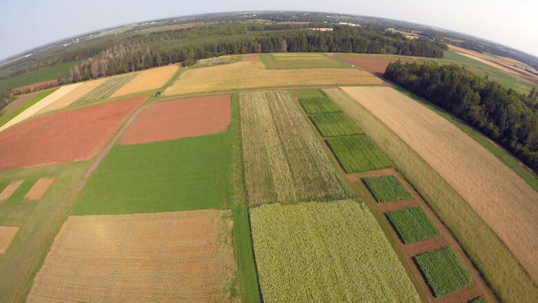 farmers fields taken by a drone