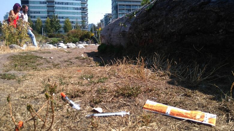 Discarded needles lie in the grass in Hinge Park near Olympic Village in Vancouver on Tuesday.