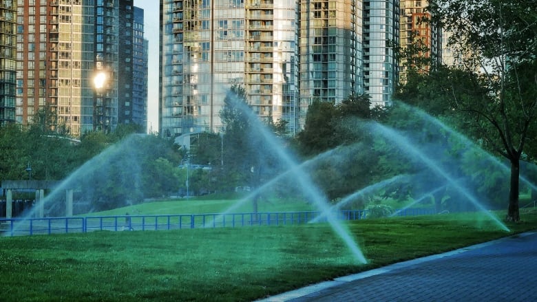 Several sprinklers spray water onto a green, grassy field. Highrise buildings are seen in the background.