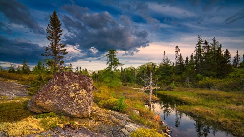 Rocks, trees and a stream set against a bright blue sky.