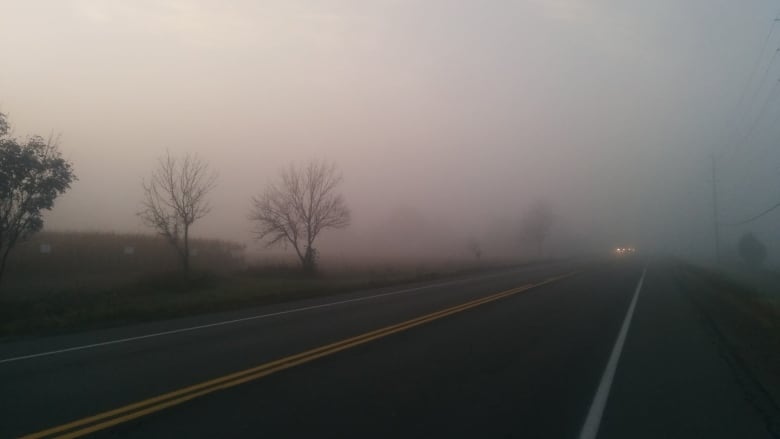 A foggy country road.