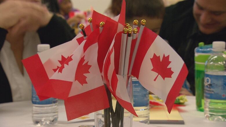 A close-up shot of Canadian flags on a table.