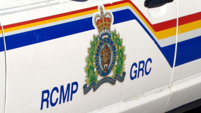 A close-up of the door of an RCMP cruiser, with the RCMP logo.