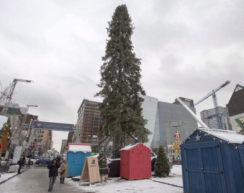 A tall, thin,  sparse  Christmas tree on  a downtown street