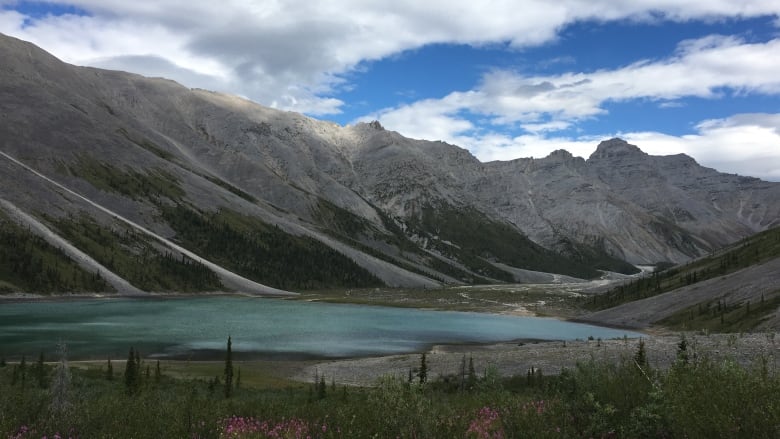 A bright-blue lake with grey mountains in the background and foliage in the foreground, including pink flowers. 