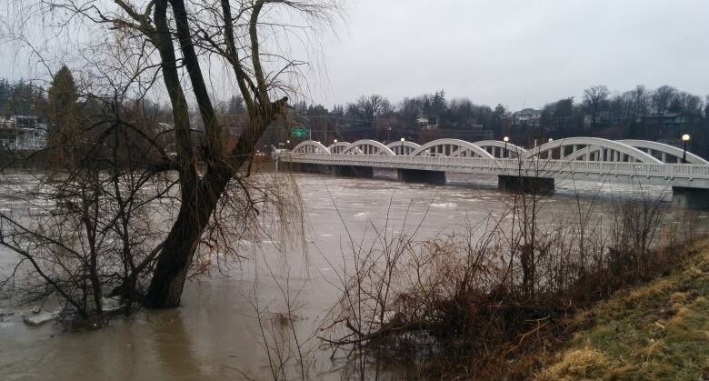 River scene with a bridge in the background. Water levels are high.