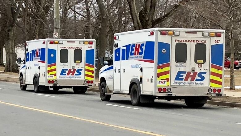 Two ambulances parked on the side of the street next to snowy trees.