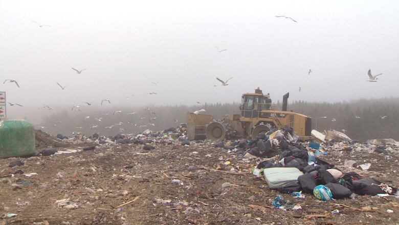 A wide shot of a landfill.