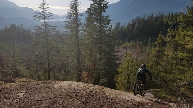 A person on a mountain bike rides down a gravel trail among trees with mountains in the background.