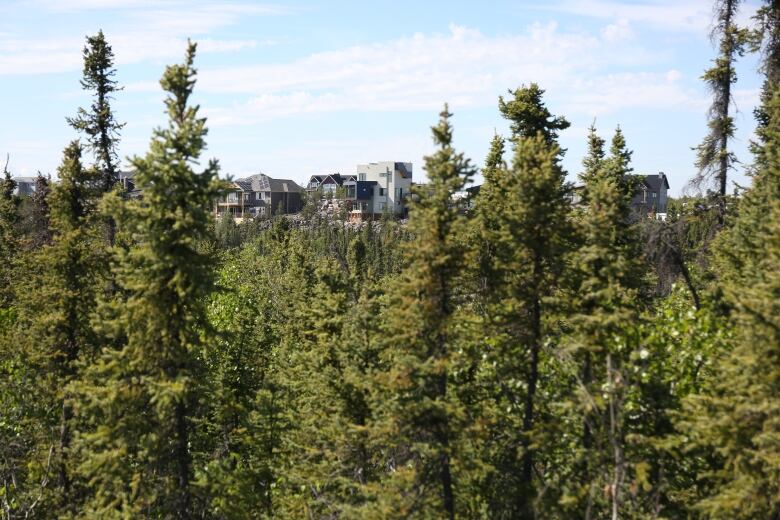 Houses visible in the distance over some evergreen forest.