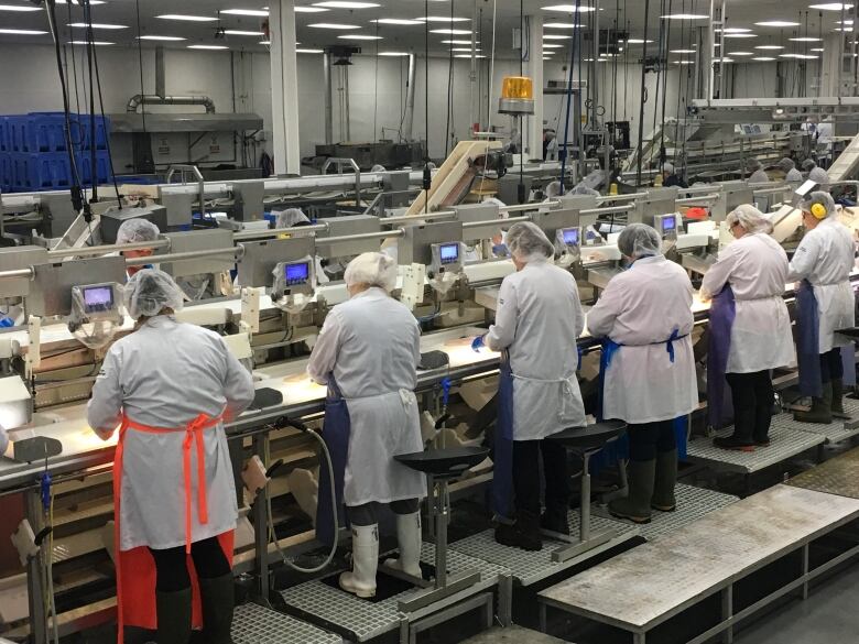 Workers facing away from the camera process fish on an assembly line.