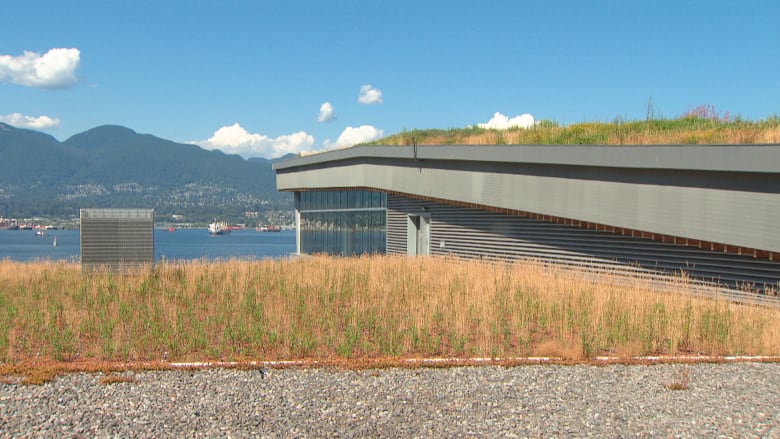 Green roof with both green and yellow grasses on the Vancouver Convention Centre pictured in 2018