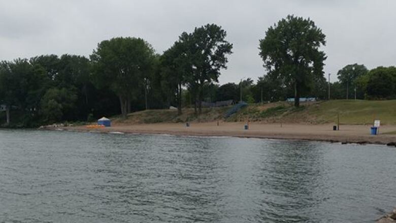 A picture of a sandy beach and water, with a grassy park in the background. 