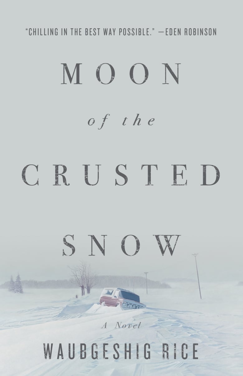 A book cover featuring a field of snow, with an abandoned truck stuck in a snow drift.