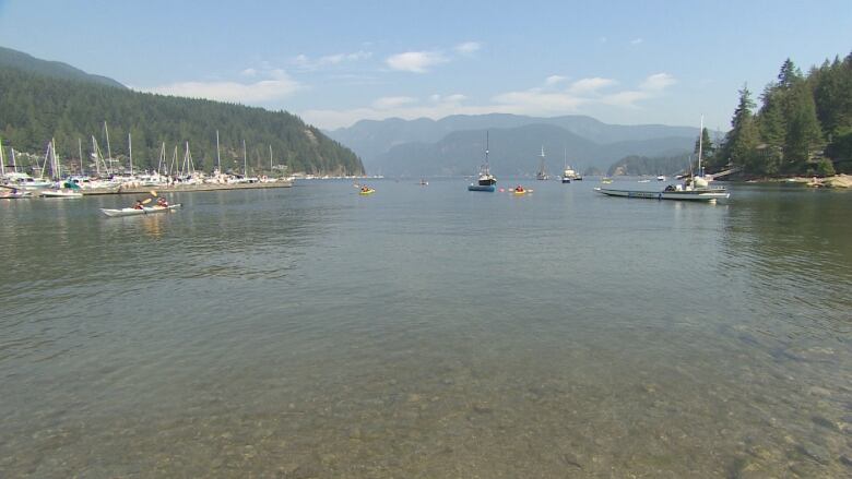 Boats and kayaks float in a harbour.