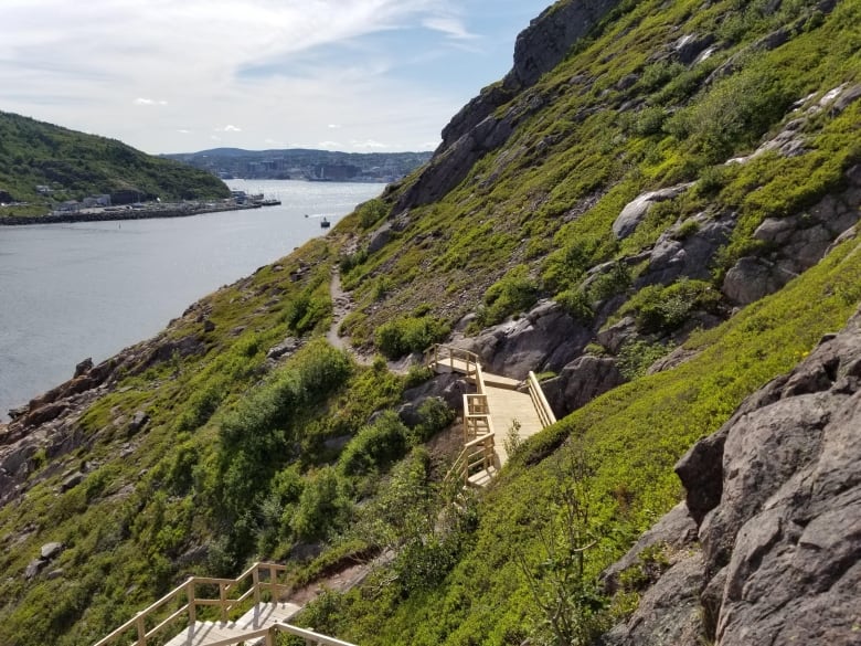 A hiking trail within the side of a cliff