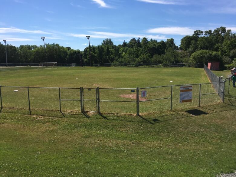 A green-grass baseball field below a blue sky.