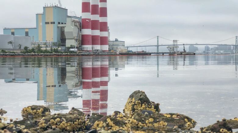 rocks and water in the foreground, an energy plant and smokestacks in the background.