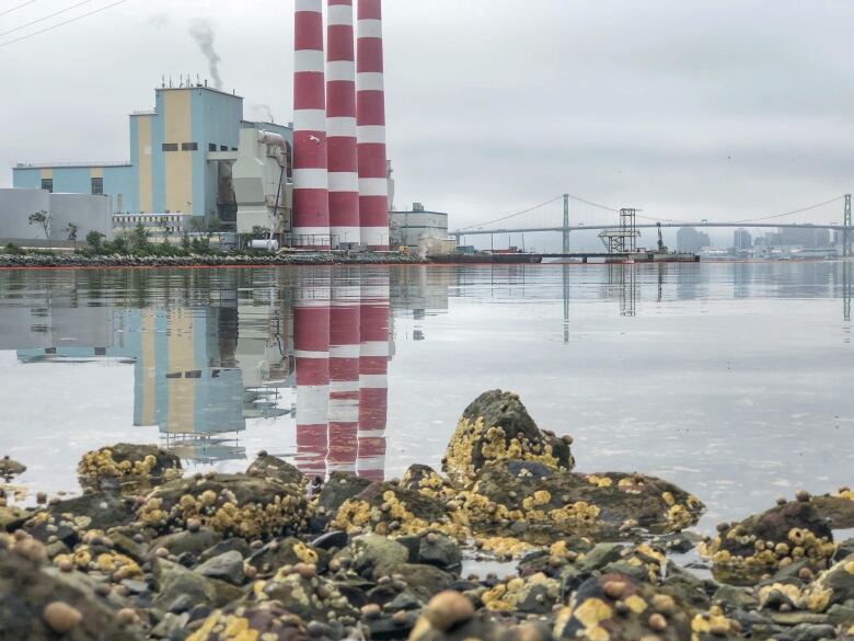 rocks and water in the foreground, an energy plant and smokestacks in the background.