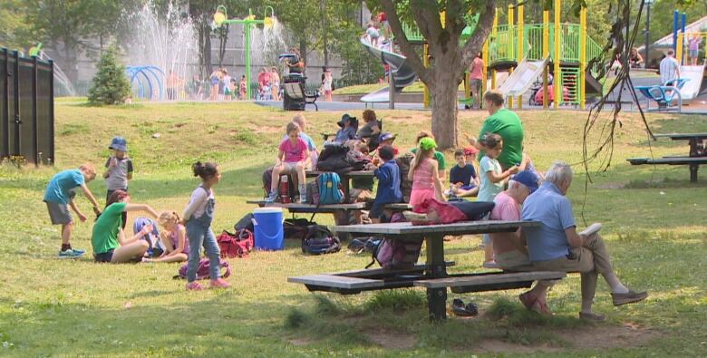 A park filled with people sitting on picnic tables. 