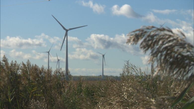 wind farm