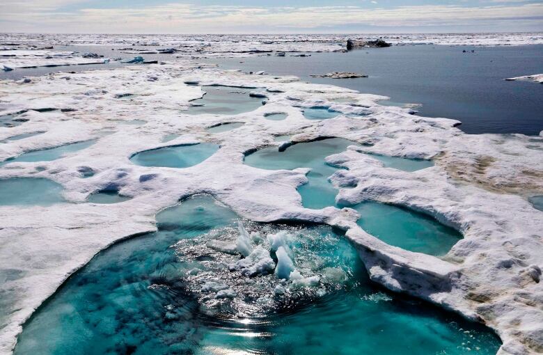 A view of ice in the ocean.