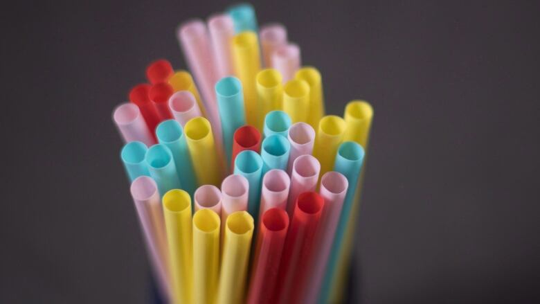 A bunch of vertical plastic straws of various colours.