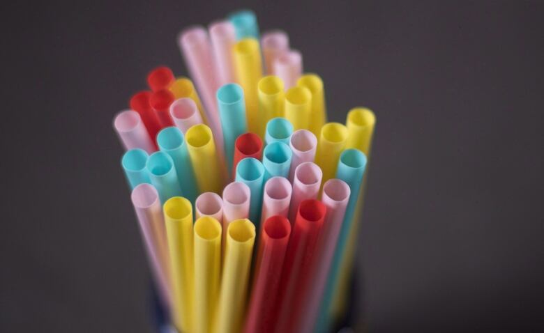 A bunch of vertical plastic straws of various colours.