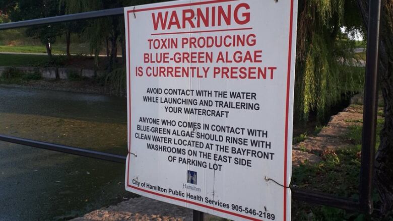 A sign that says there is blue-green algae in the water in Hamilton.