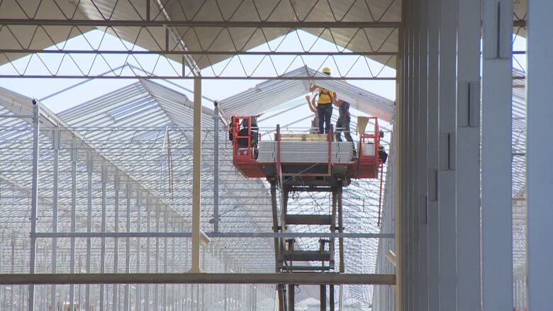 Already home to more than half the greenhouses in Canada, the Windsor Essex area is seeing even more being built - many for cannabis cultivation.