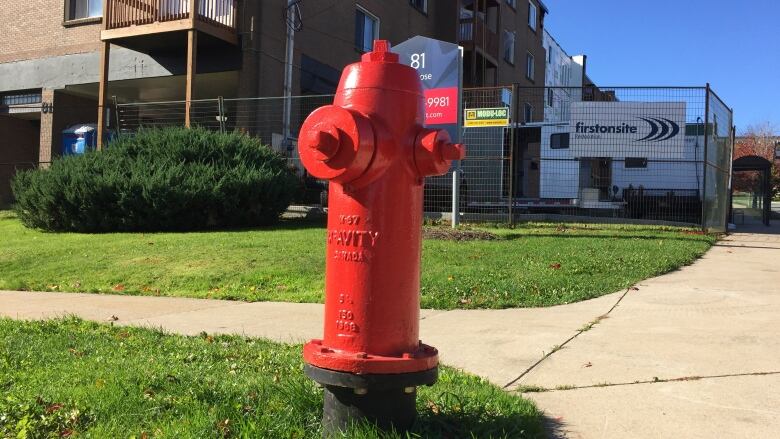 red fire hydrant in summer