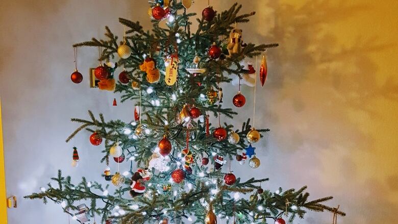 A decorated spruce tree.