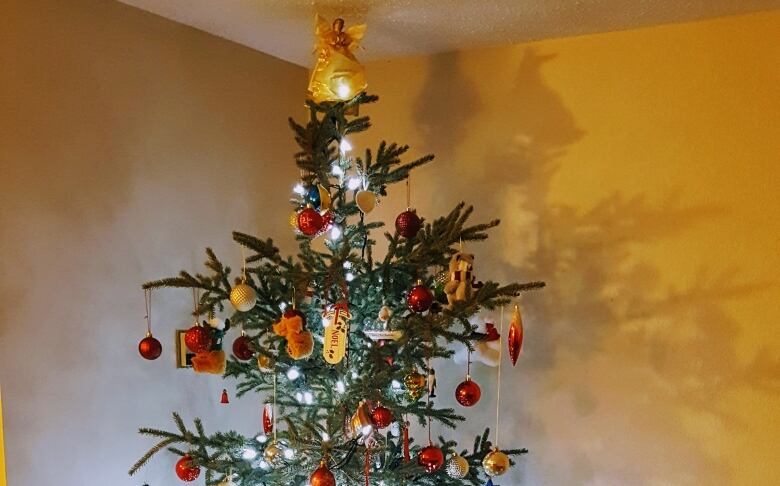 A decorated spruce tree.