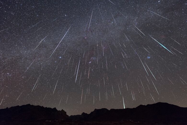 A photograph shows streaks of meteors through the sky over one night.