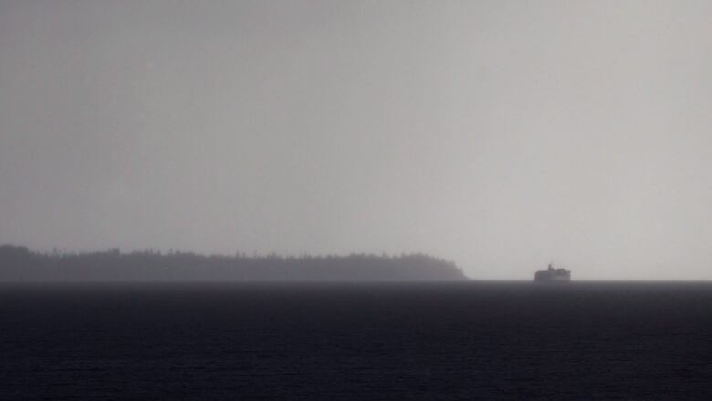 A monochrome image of a ferry and a peninsula on the horizon under cloudy skies.