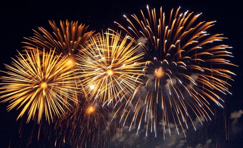 The East London Optimist Club's Canada Day celebrations are postponed until next year due to new regulations from the TVDSB that prohibit discharging fireworks on their property. The club has been hosting Canada Day celebrations at Argyle Arena for 17 years.