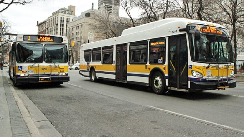 Two hamilton buses on road