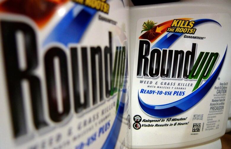 Bottles of an herbicide called 'Roundup' are display on a store shelf.