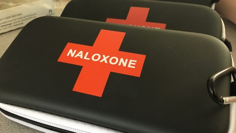 The P.E.I. Pharmacists Association held a session at UPEI where a pharmacist demonstrated how to use a naloxone kit. 