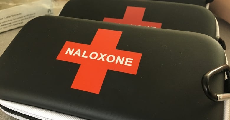 The P.E.I. Pharmacists Association held a session at UPEI where a pharmacist demonstrated how to use a naloxone kit. 