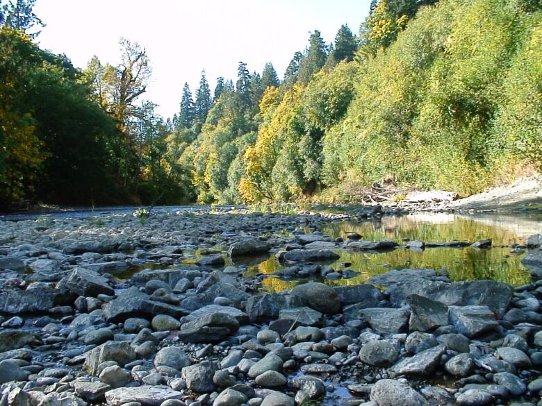 A photo shows a nearly dry riverbed. 