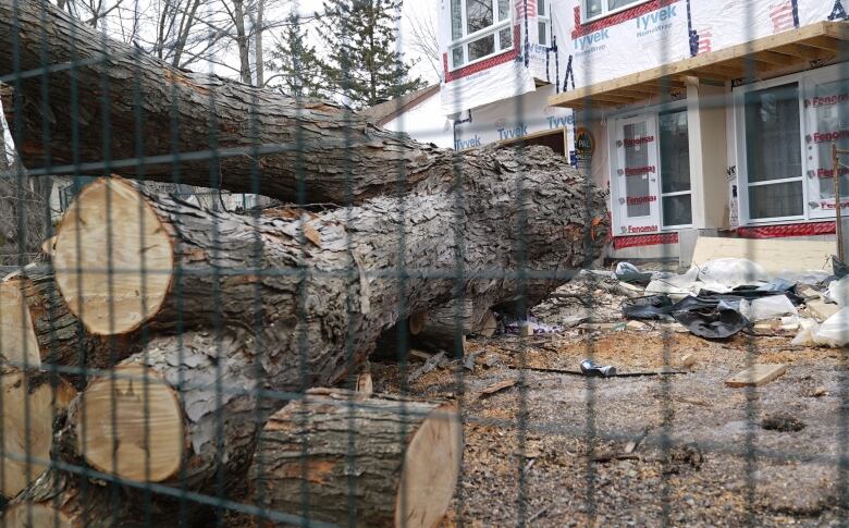 The remains of a large tree sit piled behind a fence.